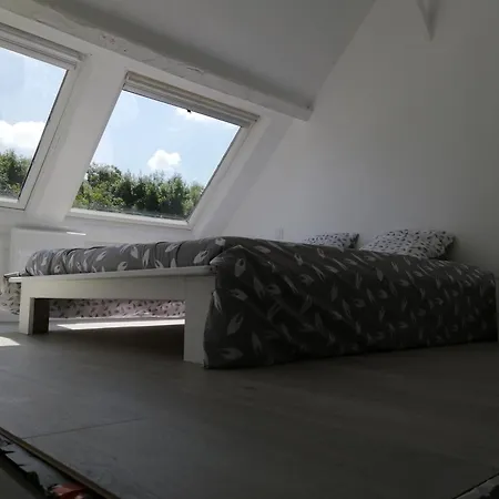 Le Duplex Reseau Cycle *