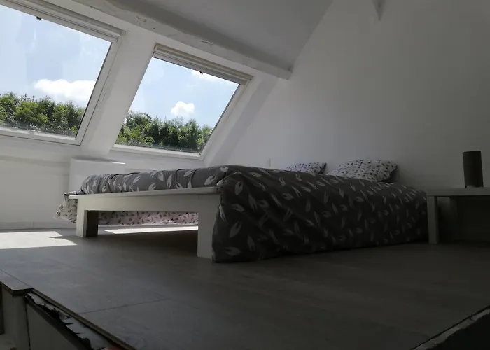 Le Duplex Reseau Cycle 3*